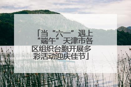 当“六一”遇上“端午”天津市各区组织台胞开展多彩活动迎庆佳节