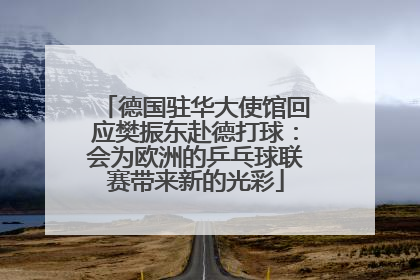德国驻华大使馆回应樊振东赴德打球：会为欧洲的乒乓球联赛带来新的光彩