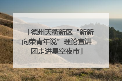 德州天衢新区“新新向荣青年说”理论宣讲团走进星空夜市
