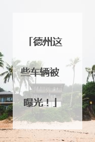 德州这些车辆被曝光！