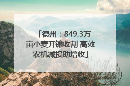 德州：849.3万亩小麦开镰收割 高效农机减损助增收