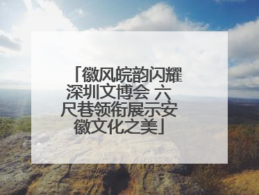 徽风皖韵闪耀深圳文博会 六尺巷领衔展示安徽文化之美