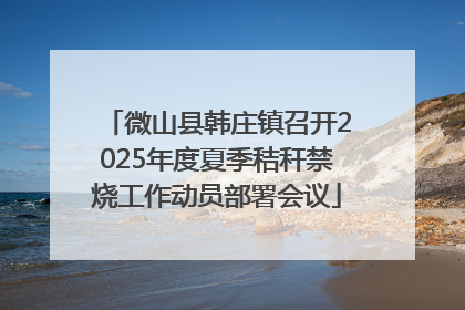 微山县韩庄镇召开2025年度夏季秸秆禁烧工作动员部署会议