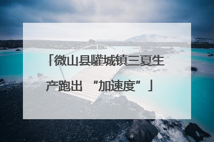 微山县驩城镇三夏生产跑出 “加速度”