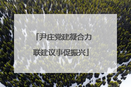 尹庄党建凝合力 联建议事促振兴