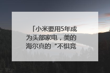 小米要用5年成为头部家电，美的海尔真的“不惧竞争”？｜热财经
