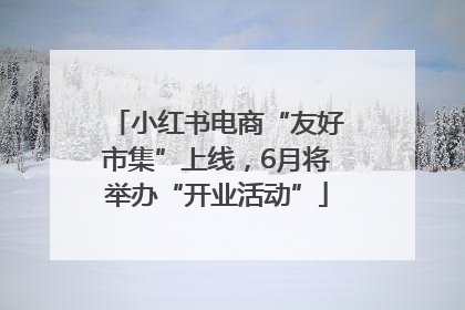 小红书电商“友好市集”上线，6月将举办“开业活动”