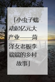 小虫子蠕动起亿元大产业——菏泽女老板李端端的乡村故事