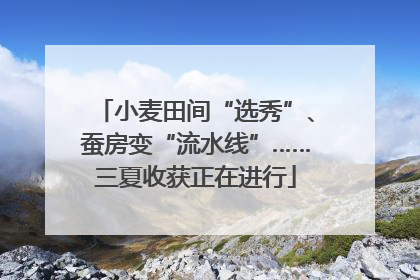 小麦田间“选秀”、蚕房变“流水线”……三夏收获正在进行