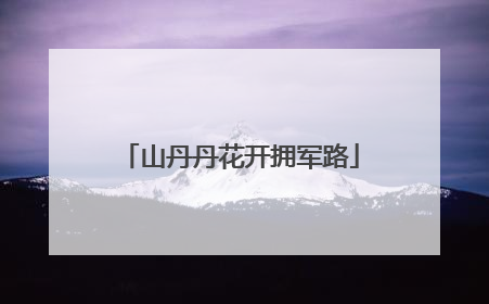 山丹丹花开拥军路