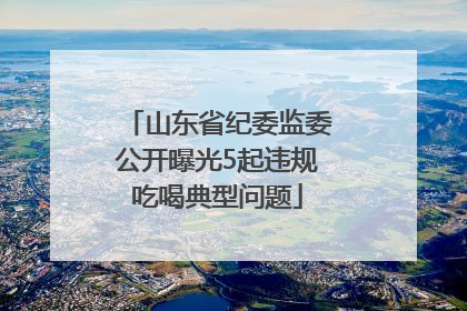 山东省纪委监委公开曝光5起违规吃喝典型问题