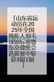 山东省运动员在2025年全国残疾人羽毛球锦标赛暨东京聋奥会选拔赛中斩获3银1铜