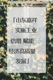 山东嘉祥：实施工业倍增 赋能经济高质量发展