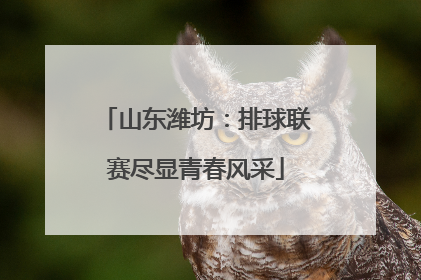 山东潍坊：排球联赛尽显青春风采