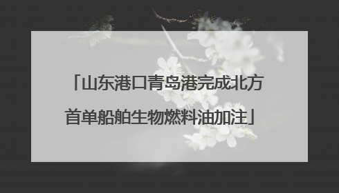 山东港口青岛港完成北方首单船舶生物燃料油加注