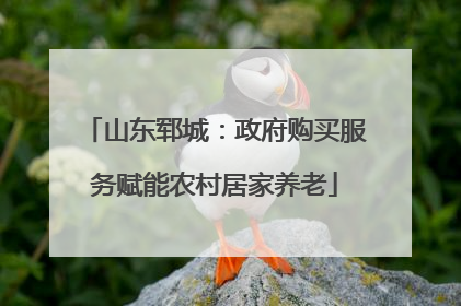 山东郓城：政府购买服务赋能农村居家养老
