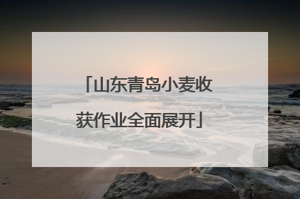 山东青岛小麦收获作业全面展开