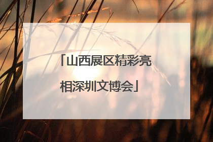 山西展区精彩亮相深圳文博会