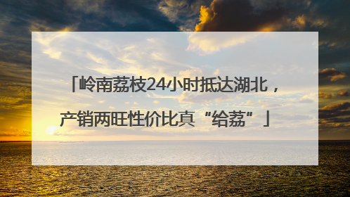 岭南荔枝24小时抵达湖北，产销两旺性价比真“给荔”