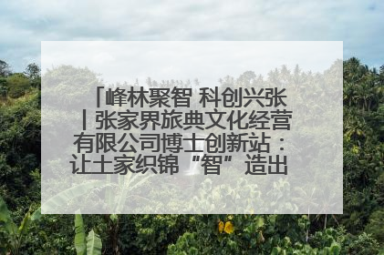 峰林聚智 科创兴张丨张家界旅典文化经营有限公司博士创新站：让土家织锦“智”造出非遗新传奇
