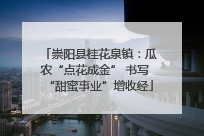 崇阳县桂花泉镇：瓜农“点花成金” 书写“甜蜜事业”增收经