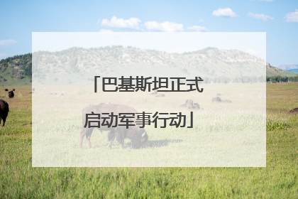 巴基斯坦正式启动军事行动