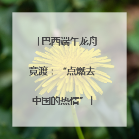 巴西端午龙舟竞渡：“点燃去中国的热情”