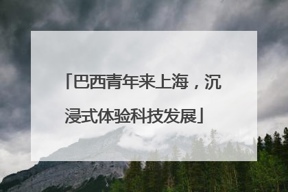 巴西青年来上海，沉浸式体验科技发展