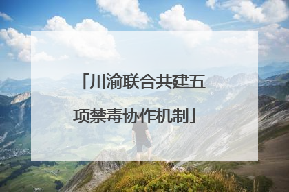 川渝联合共建五项禁毒协作机制