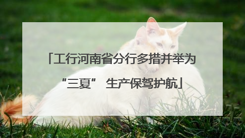 工行河南省分行多措并举为“三夏” 生产保驾护航