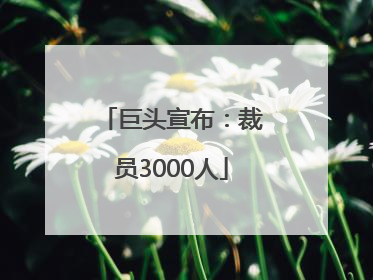 巨头宣布：裁员3000人