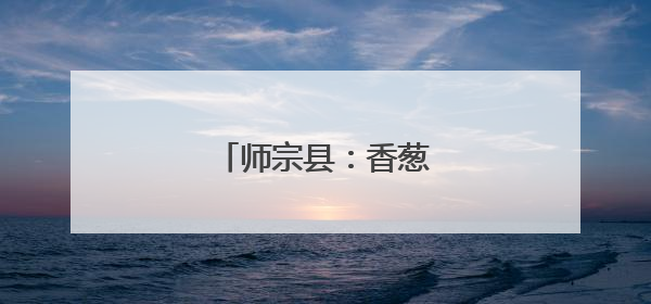 师宗县：香葱产业一路鲜