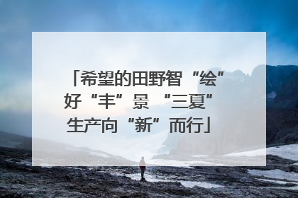 希望的田野智“绘”好“丰”景 “三夏”生产向“新”而行