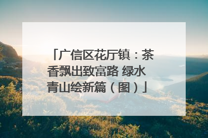 广信区花厅镇：茶香飘出致富路 绿水青山绘新篇（图）