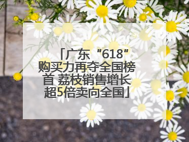 广东“618”购买力再夺全国榜首 荔枝销售增长超5倍卖向全国