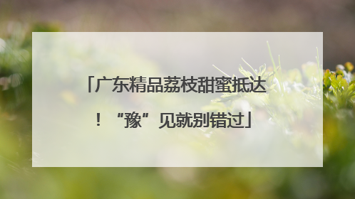广东精品荔枝甜蜜抵达！“豫”见就别错过