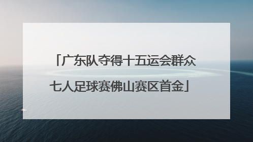广东队夺得十五运会群众七人足球赛佛山赛区首金
