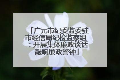 广元市纪委监委驻市经信局纪检监察组：开展集体廉政谈话 敲响廉政警钟