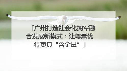 广州打造社会化拥军融合发展新模式：让尊崇优待更具“含金量”