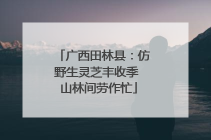 广西田林县：仿野生灵芝丰收季 山林间劳作忙