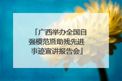 广西举办全国自强模范暨助残先进事迹宣讲报告会
