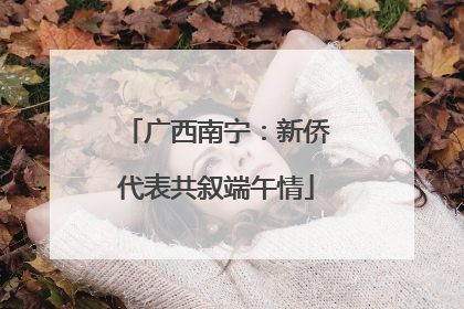 广西南宁：新侨代表共叙端午情