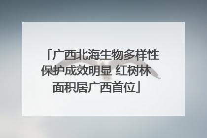 广西北海生物多样性保护成效明显 红树林面积居广西首位