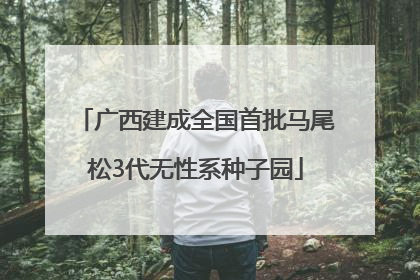 广西建成全国首批马尾松3代无性系种子园