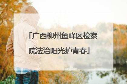 广西柳州鱼峰区检察院法治阳光护青春