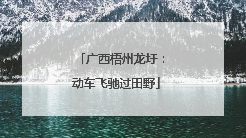 广西梧州龙圩：动车飞驰过田野