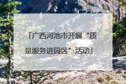 广西河池市开展“质量服务进园区”活动