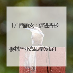 广西融安：促进香杉板材产业高质量发展