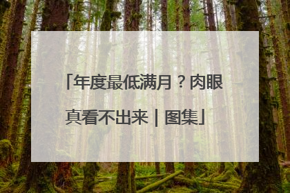 年度最低满月？肉眼真看不出来｜图集