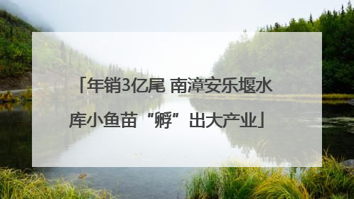 年销3亿尾 南漳安乐堰水库小鱼苗“孵”出大产业